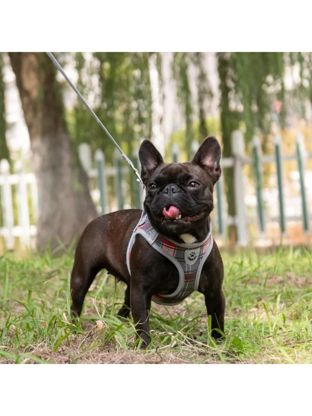 Soft Padded Plaid Dog Harness & Leash Set - No Pull, Reflective, AirTag Holder